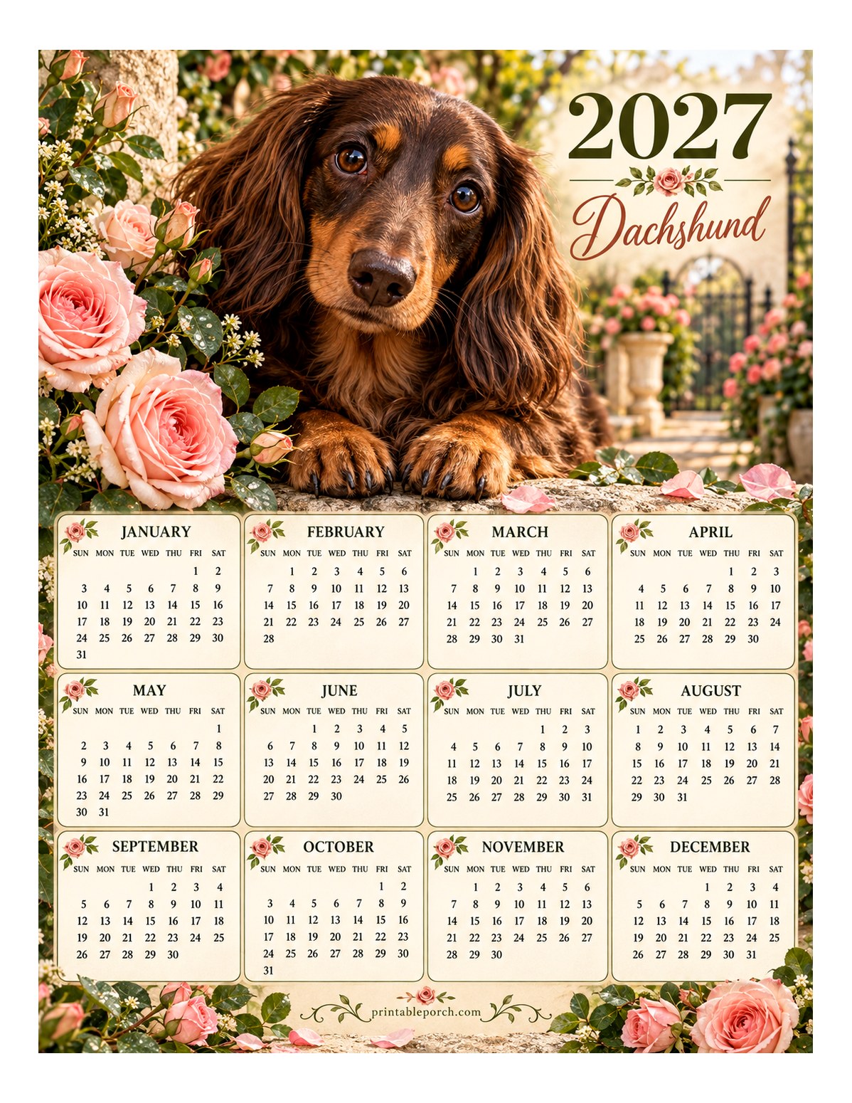 Dachshund 2027 Yearly Calendar - Garden Roses