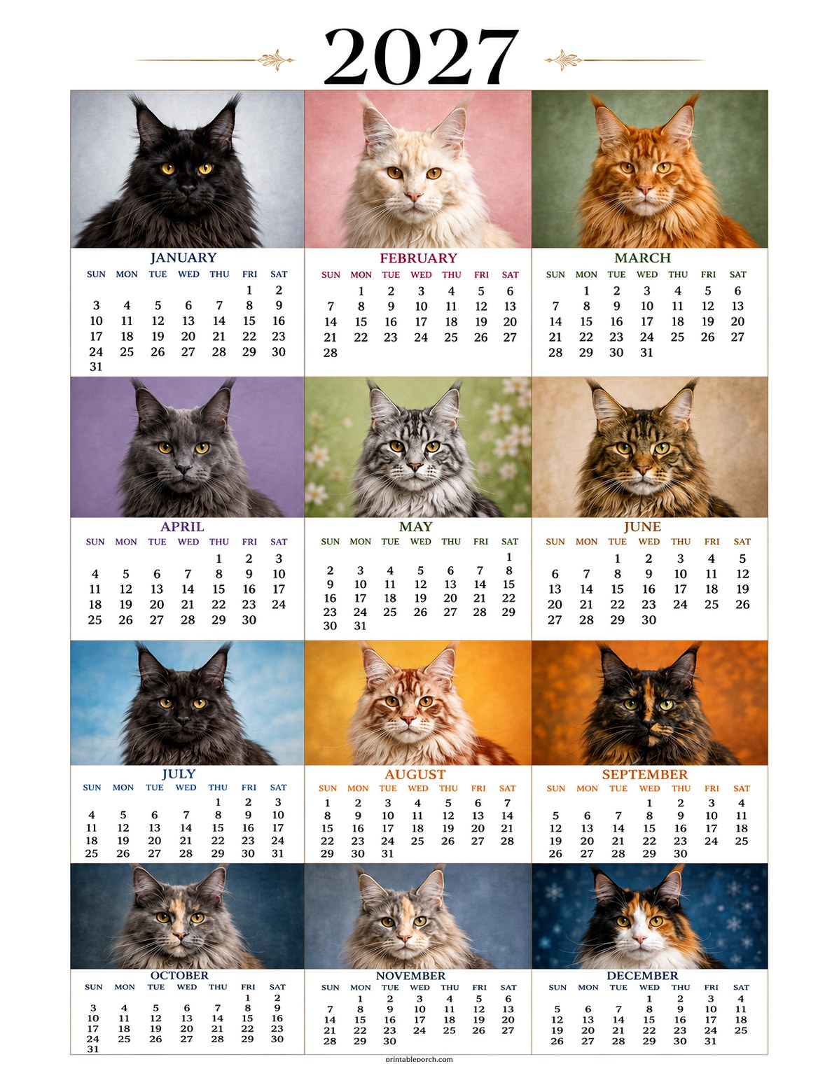 Maine Coon 2027 Yearly Calendar - Twelve Portraits