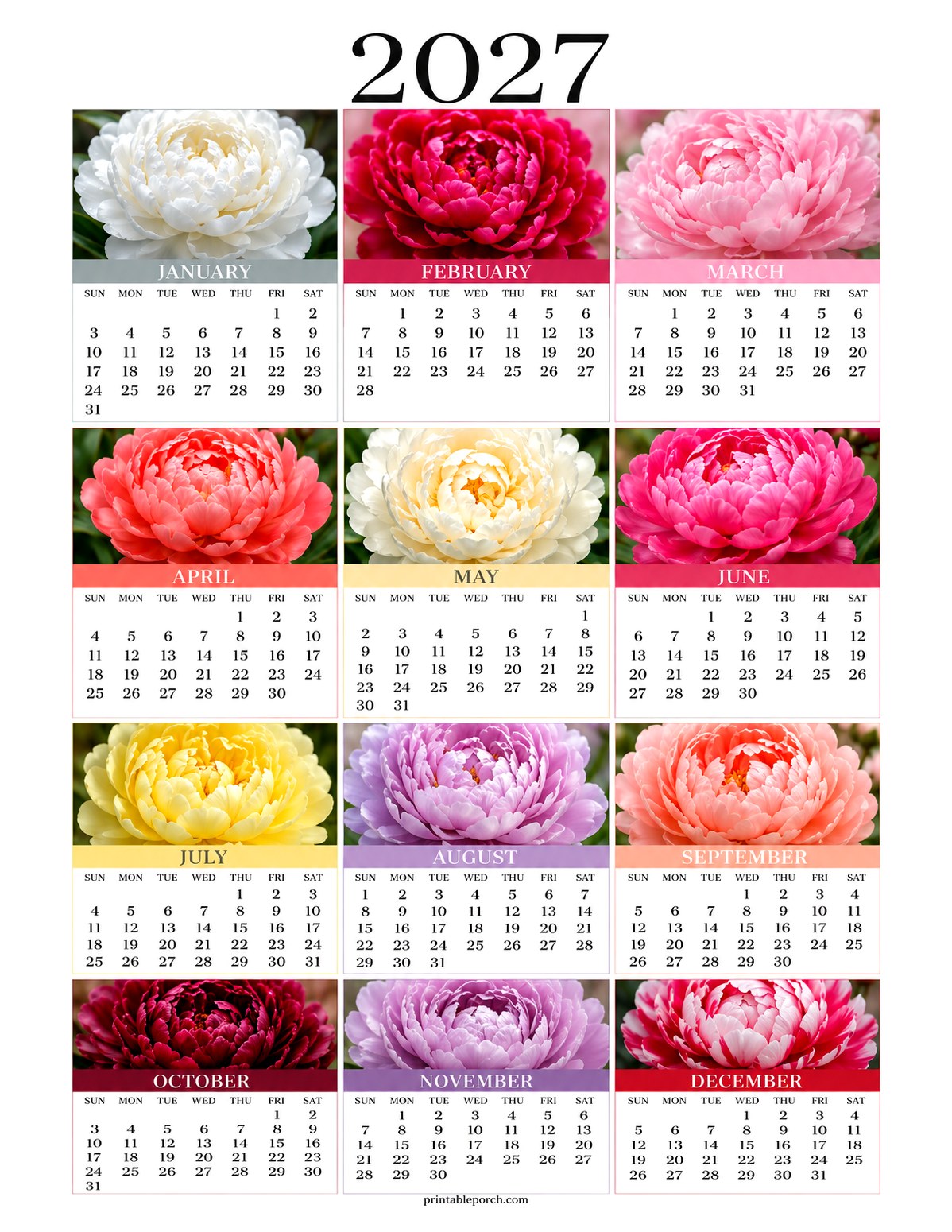 Peony 2027 Yearly Calendar - Twelve Blooms