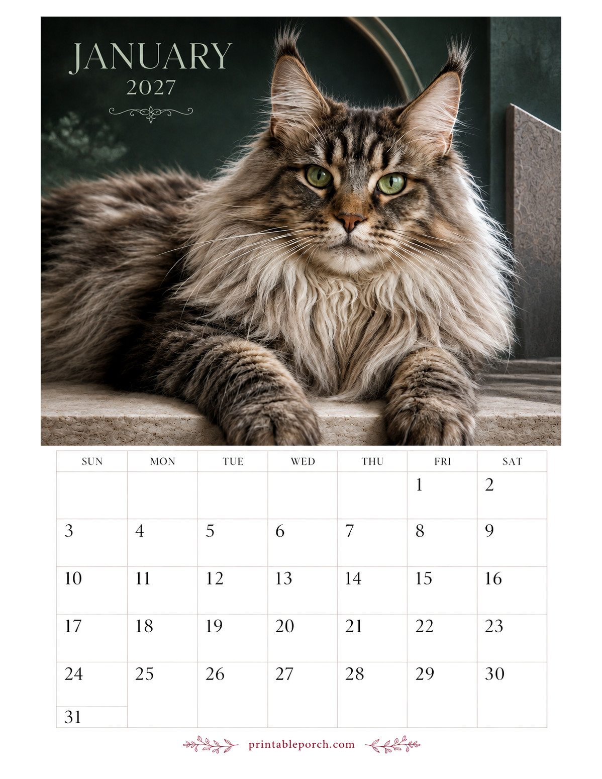 Photo Cats January 2027 Calendar