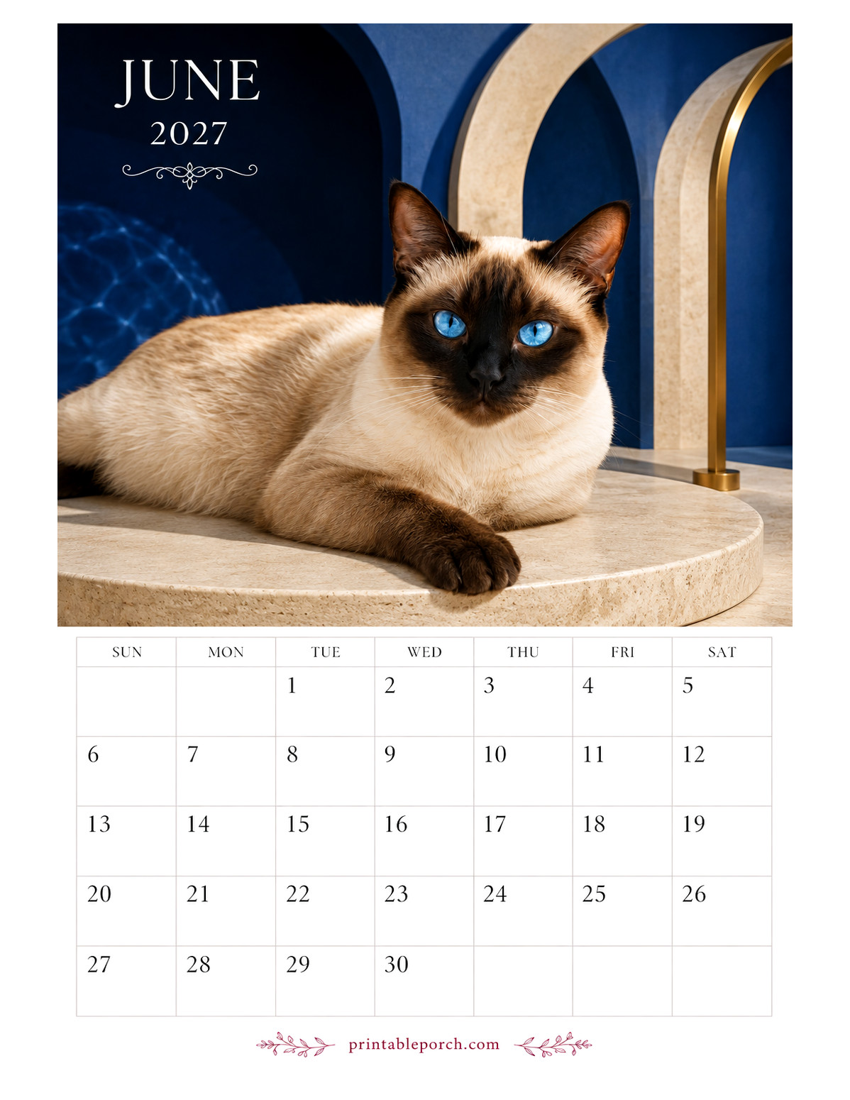 Photo Cats June 2027 Calendar