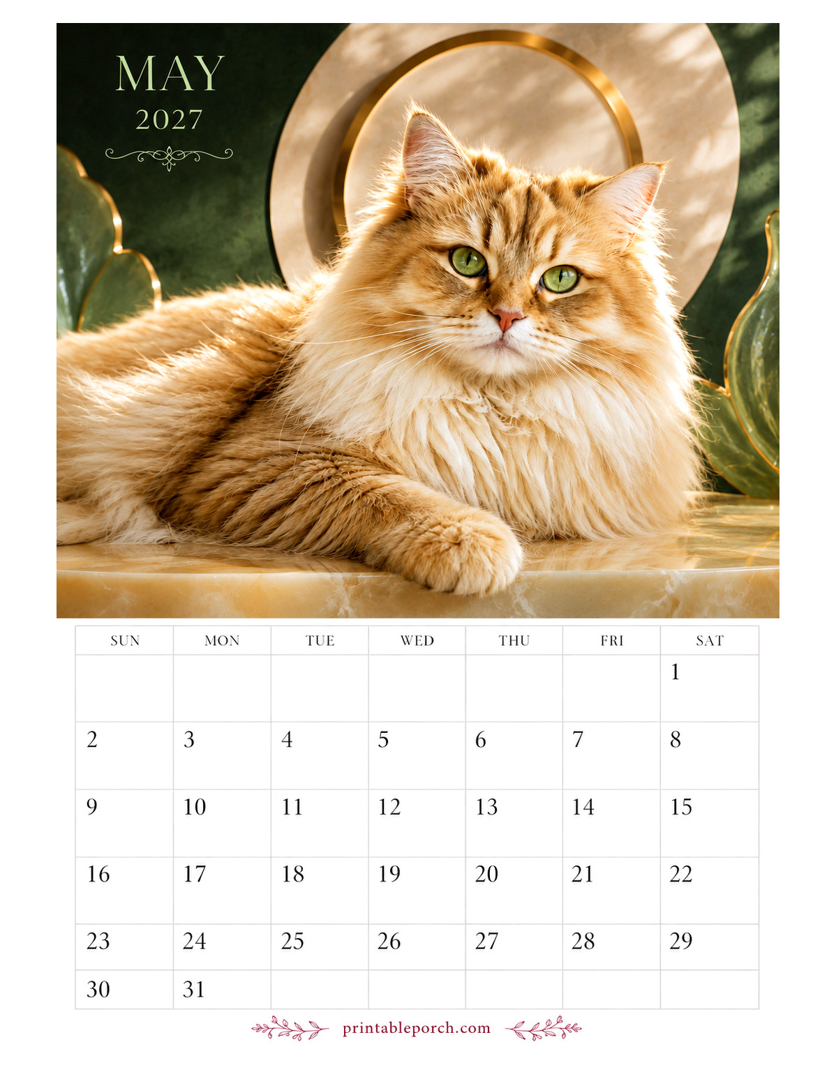 Photo Cats May 2027 Calendar