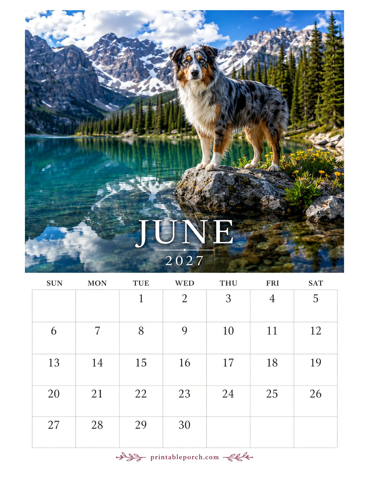 Photo Dogs June 2027 Calendar
