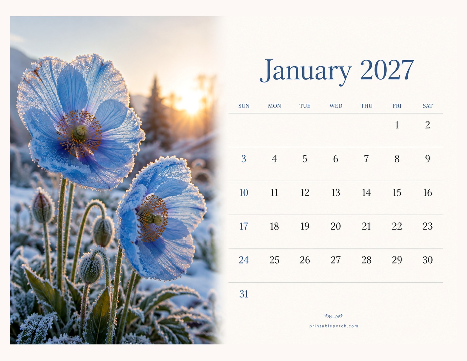Photo Flowers January 2027 Calendar